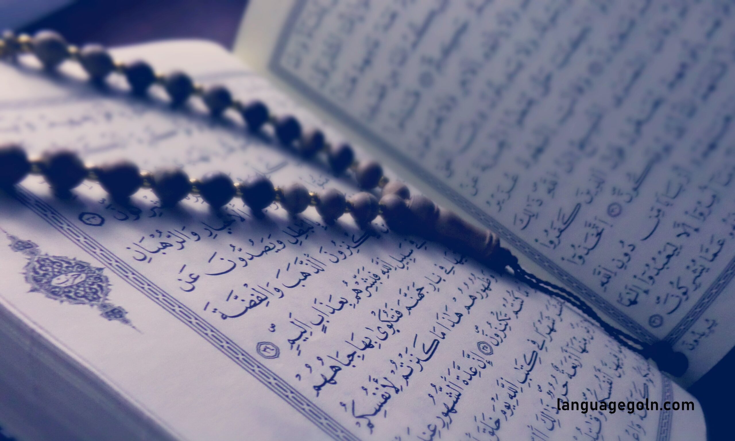 দাখিল শিক্ষাক্রমে আরবি শিক্ষাক্রমের শিখনফল ও বিষয়বস্তু